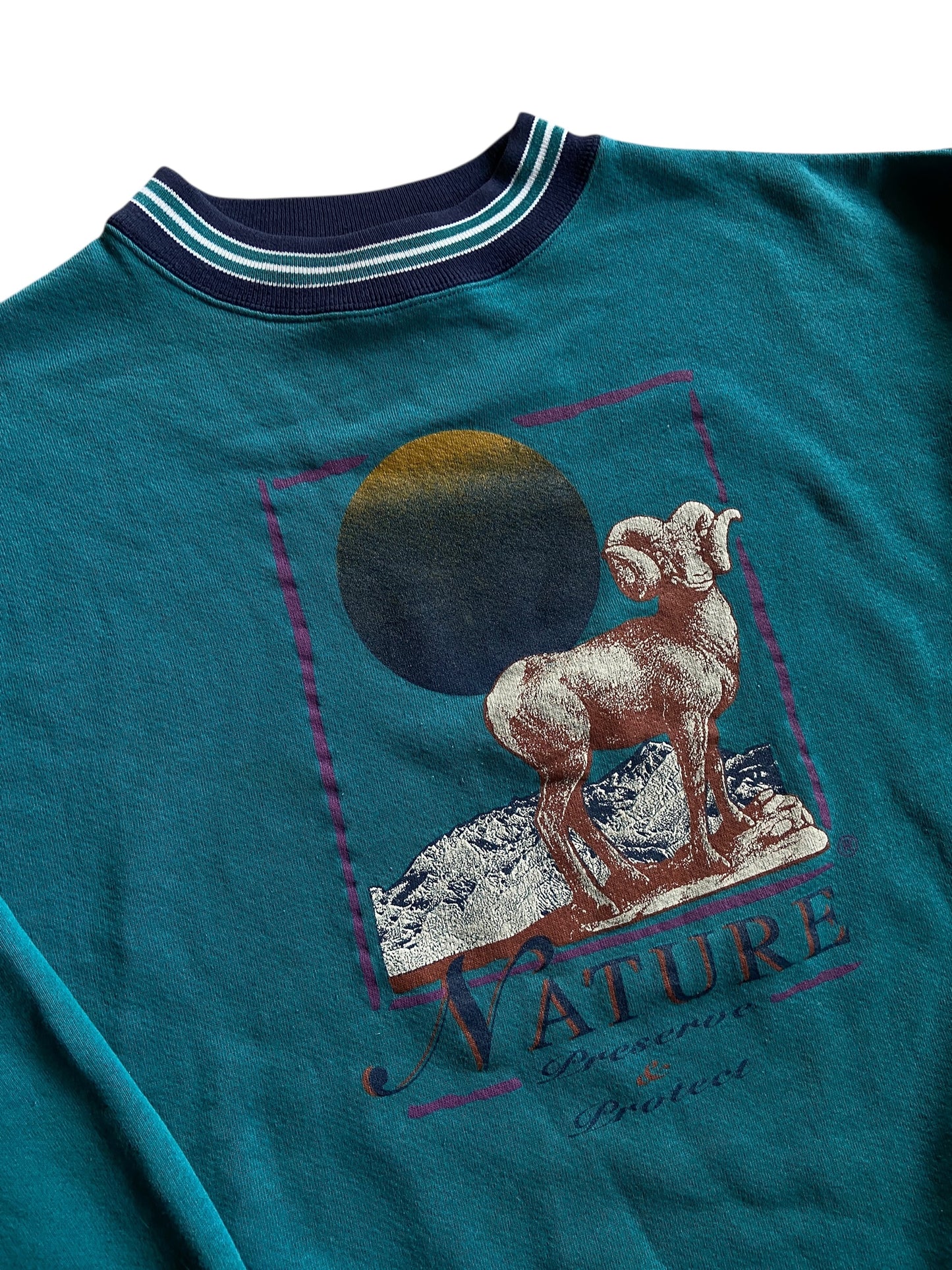 VTG Nature Preserve & Protect Teal Sweatshirt Sz XL