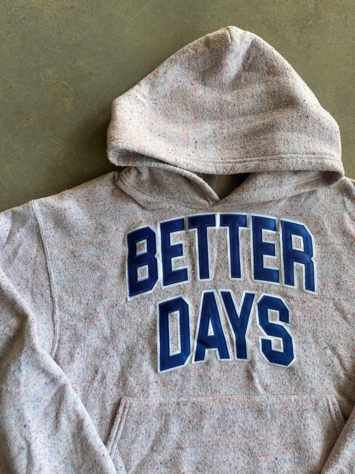Saint Ramon Never Die Better Days Multicolor Cropped Hoodie Sz L/XL