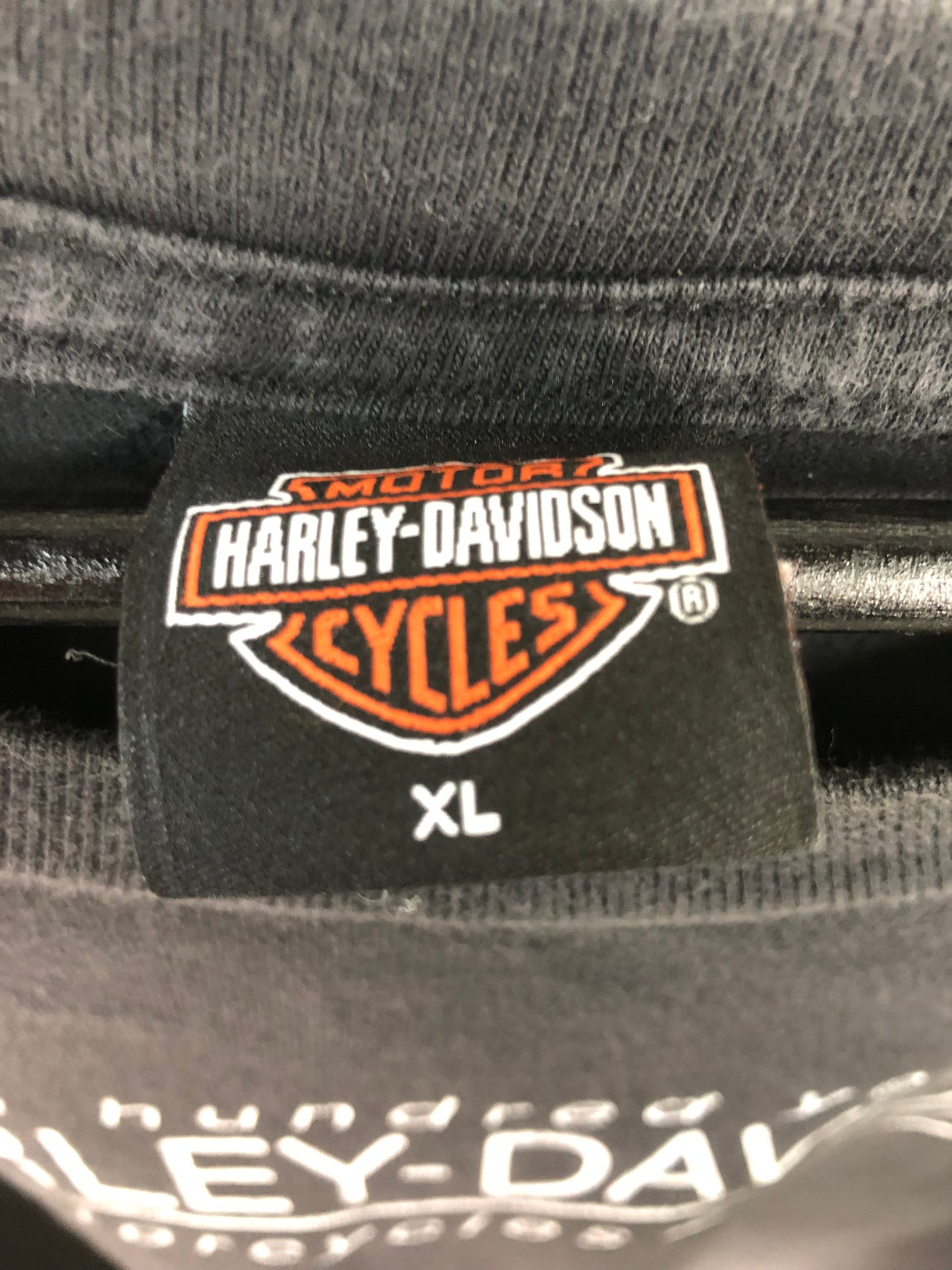 VTG Harley Davidson Centennial Nagshead Tee Sz L