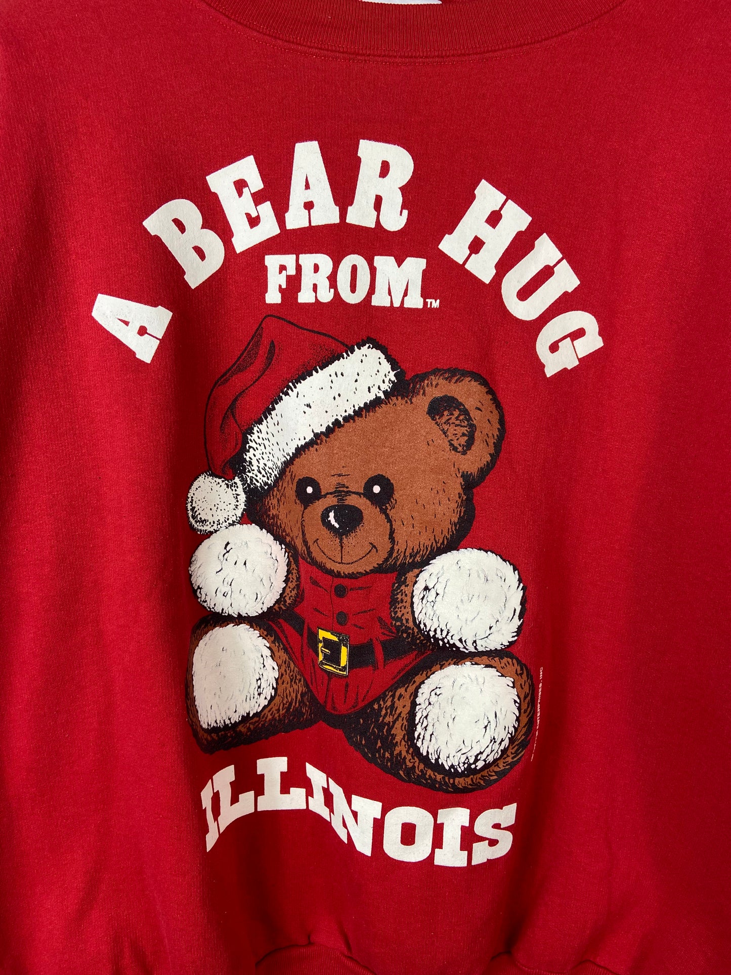 VTG A Bear Hug From Illinois Crewneck Sz XL