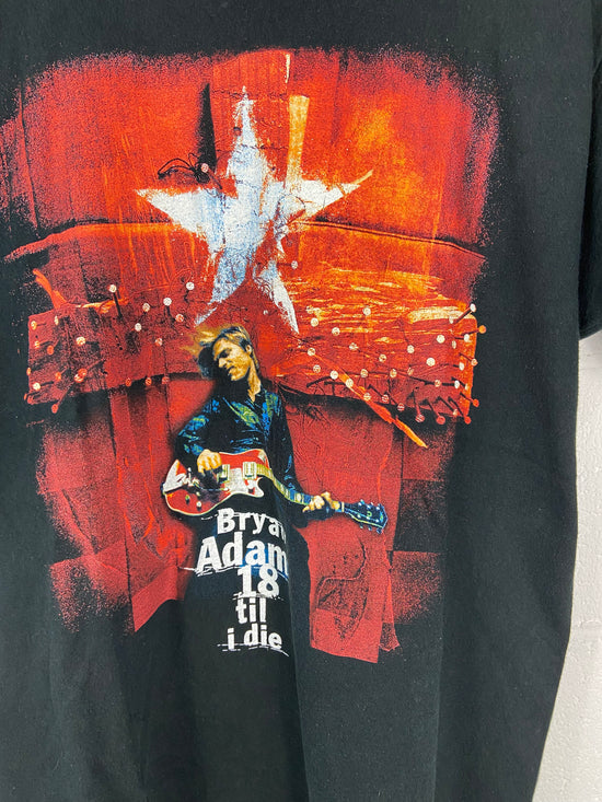 Load image into Gallery viewer, VTG Bryan Adams 18 Till I Die Tee Shirt Size L
