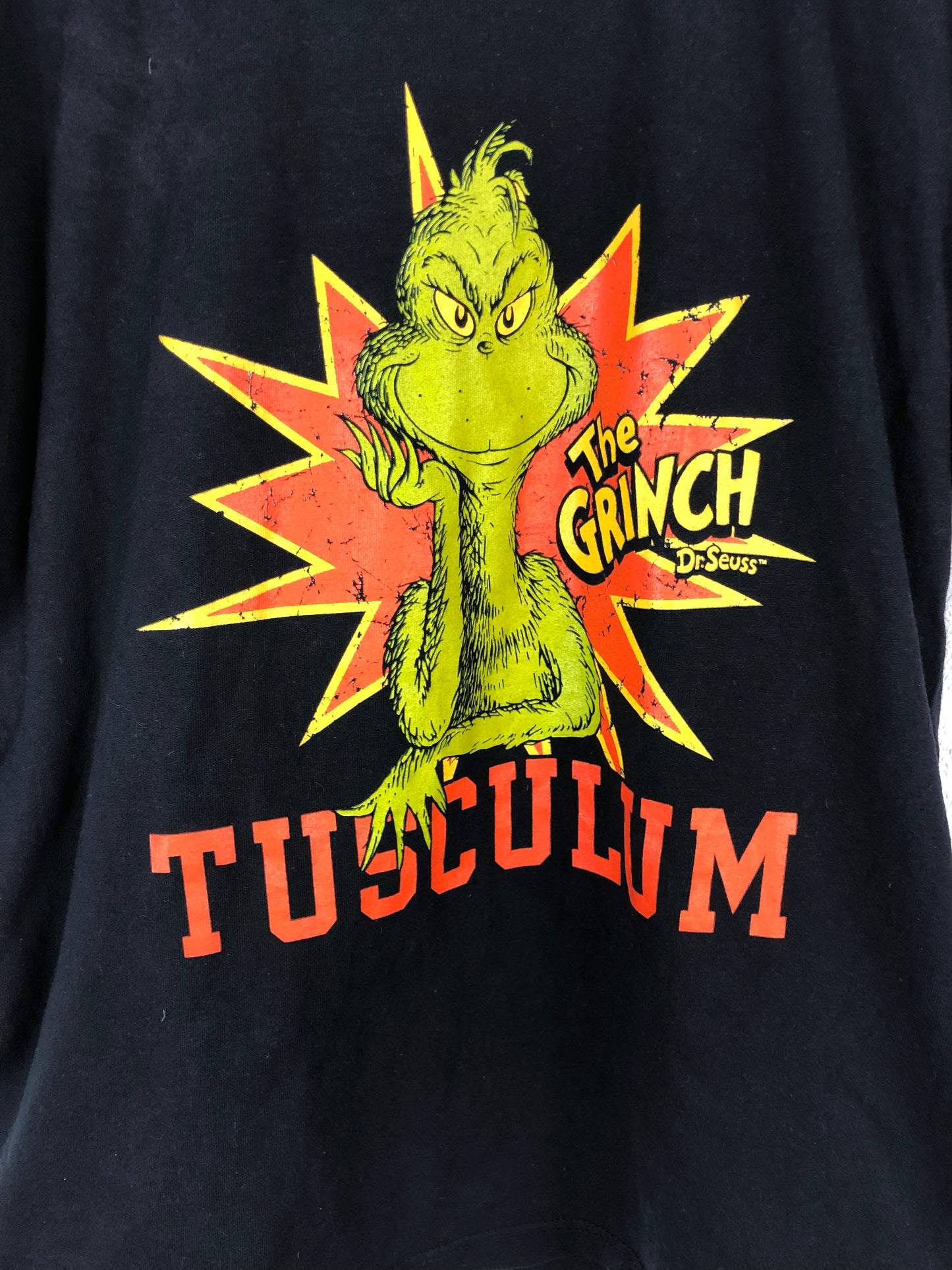 VTG Dr. Seuss The Grinch Tusculum Tee Sz M