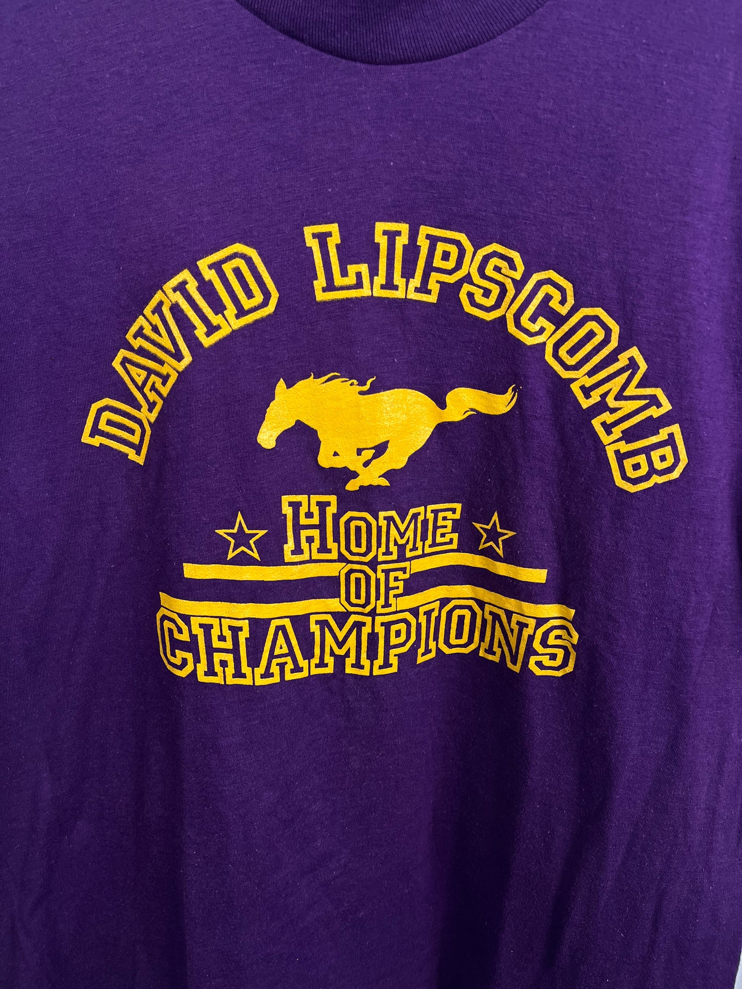 Load image into Gallery viewer, VTG 70s David Lipscomb “Champions” Tee L
