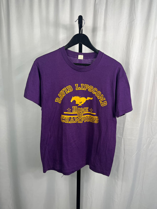 Load image into Gallery viewer, VTG 70s David Lipscomb “Champions” Tee L
