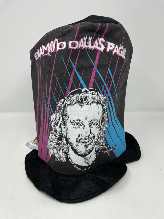 Load image into Gallery viewer, VTG WWF Dallas Diamond Page Tall Hat
